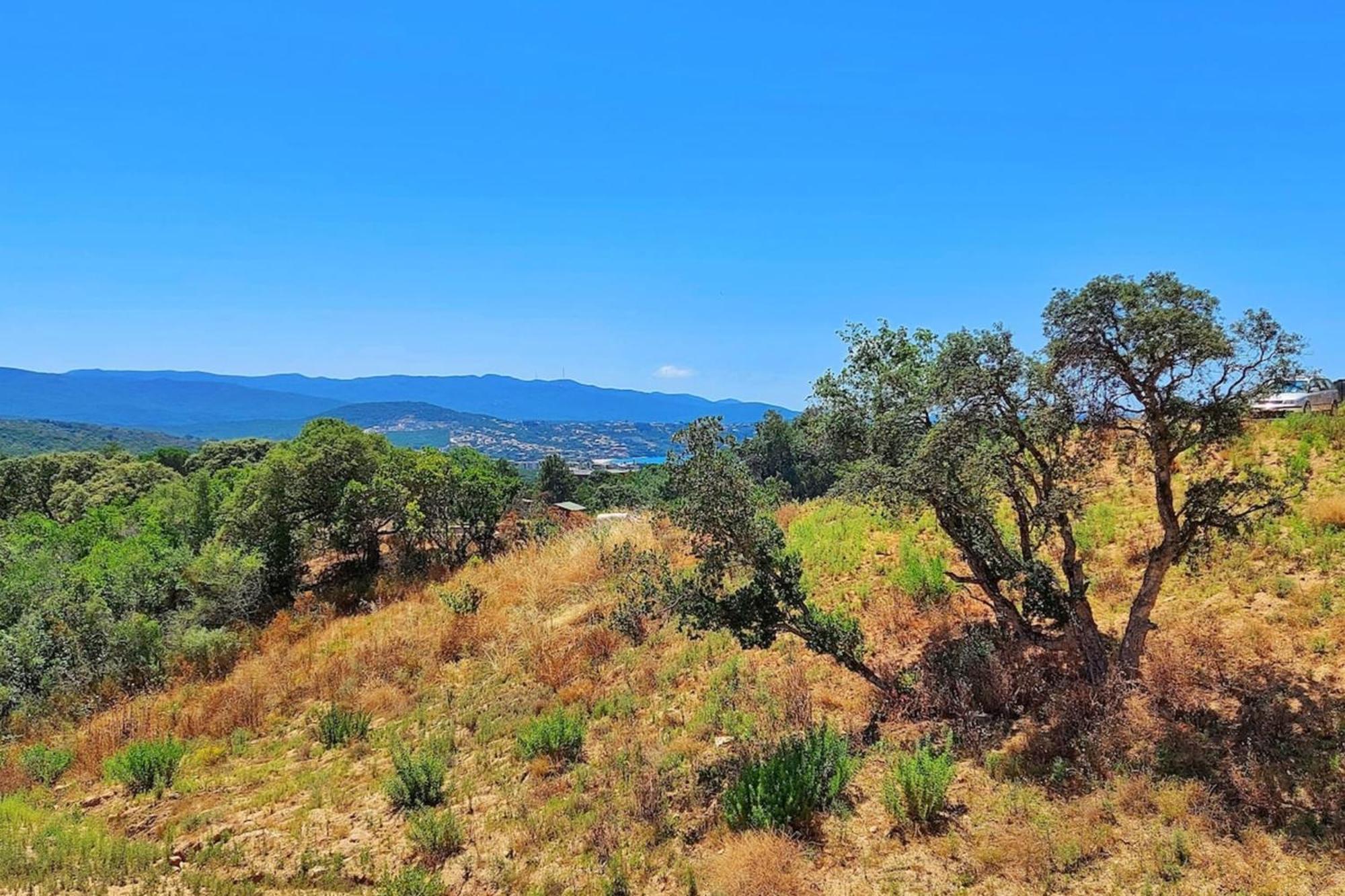 Apartment Amalia - Sea View Terrace Wifi Parking - By Tgb Porticcio (Corsica)
